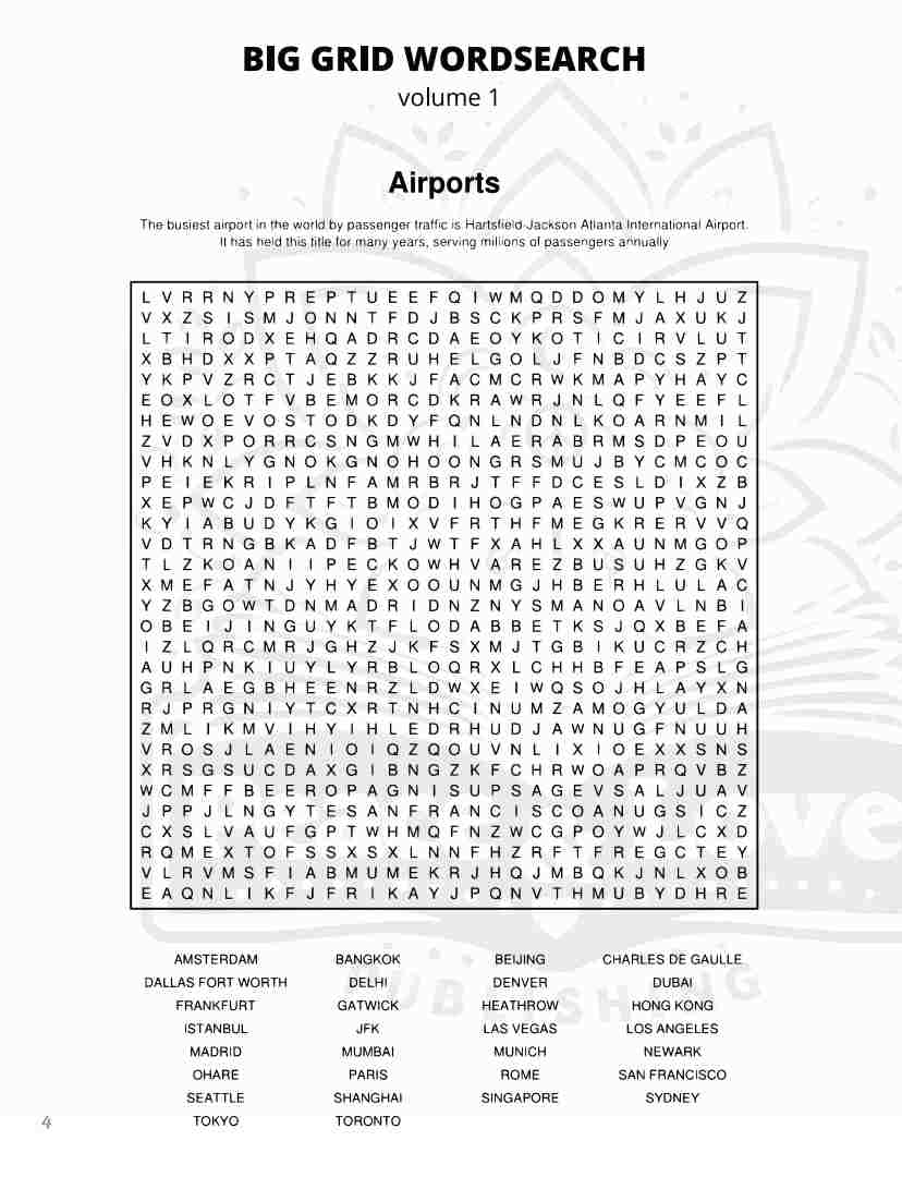 BIG GRID Word Search - 111 HUGE Themed Puzzles - Massive 30x30 Grid - Solutions Included