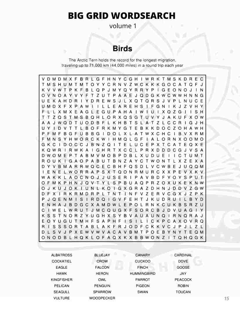 BIG GRID Word Search - 111 HUGE Themed Puzzles - Massive 30x30 Grid - Solutions Included