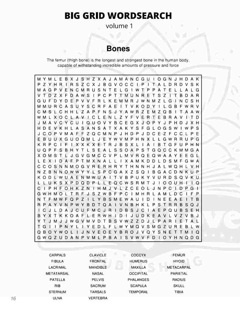 BIG GRID Word Search - 111 HUGE Themed Puzzles - Massive 30x30 Grid - Solutions Included