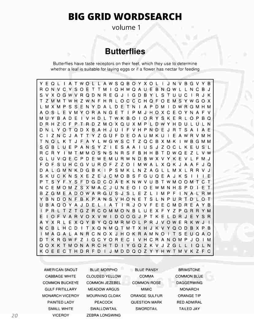 BIG GRID Word Search - 111 HUGE Themed Puzzles - Massive 30x30 Grid - Solutions Included