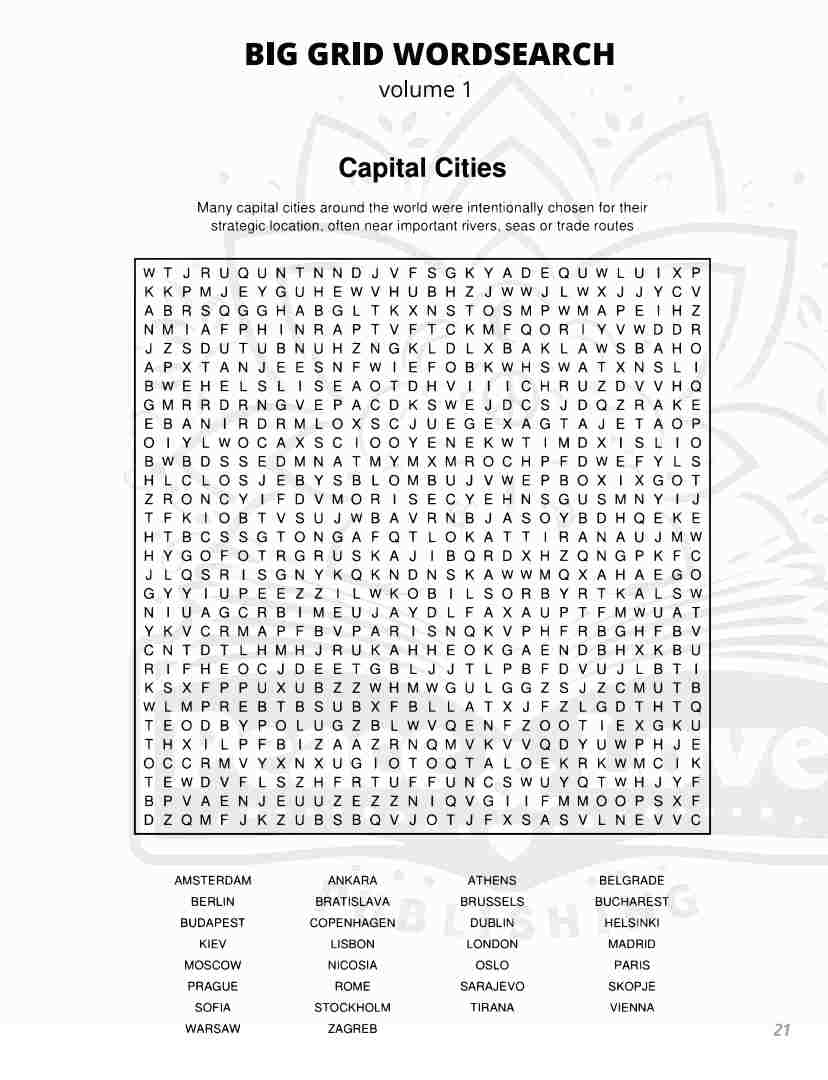 BIG GRID Word Search - 111 HUGE Themed Puzzles - Massive 30x30 Grid - Solutions Included