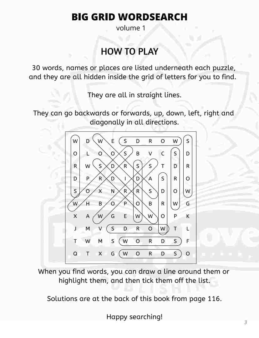 BIG GRID Word Search - 111 HUGE Themed Puzzles - Massive 30x30 Grid - Solutions Included