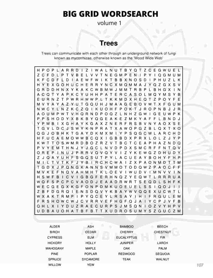 BIG GRID Word Search - 111 HUGE Themed Puzzles - Massive 30x30 Grid - Solutions Included